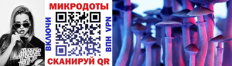 Галлюциногенные грибы Psilocybe  Обь 