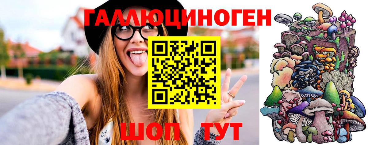 Псилоцибиновые грибы Psilocybe  закладка  Обь  Вход с VPN 