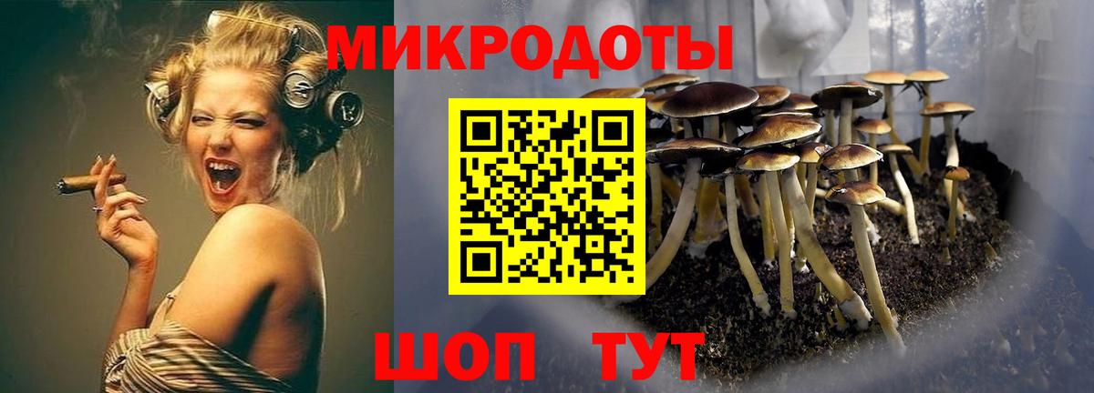 Галлюциногенные грибы ЛСД Обь